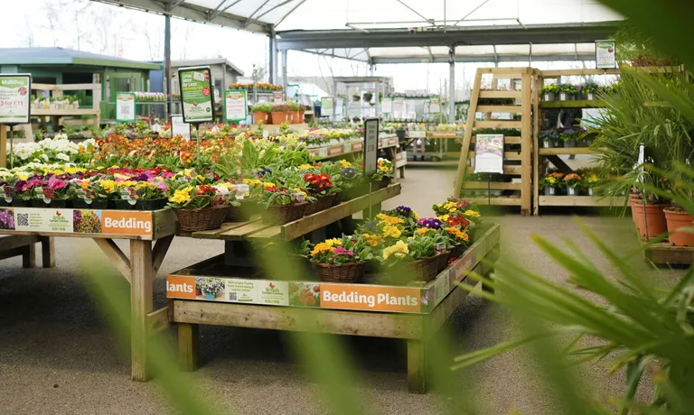 Garden Centre for sale in Devon - photo 3 of 3