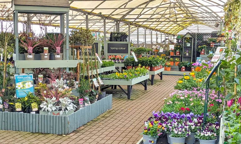 Garden Centre for sale in Devon - photo 2 of 3