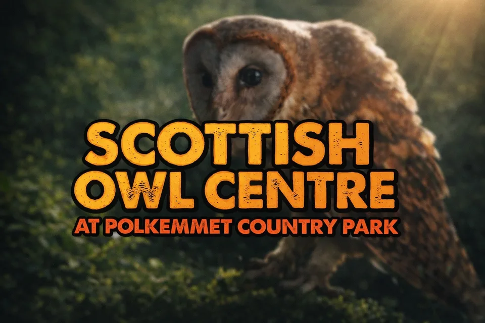 Scottish Owl Centre